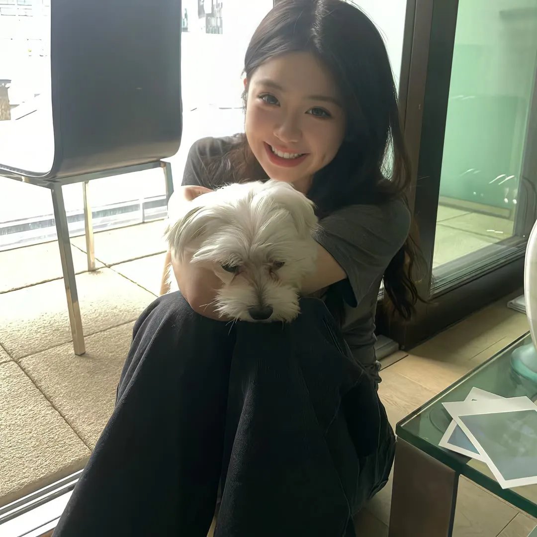 白玫瑰